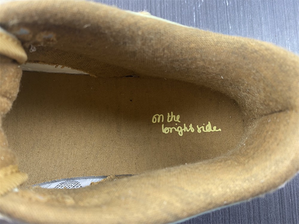 from NIKE DUNK LOW Bright Side DQ5076-121