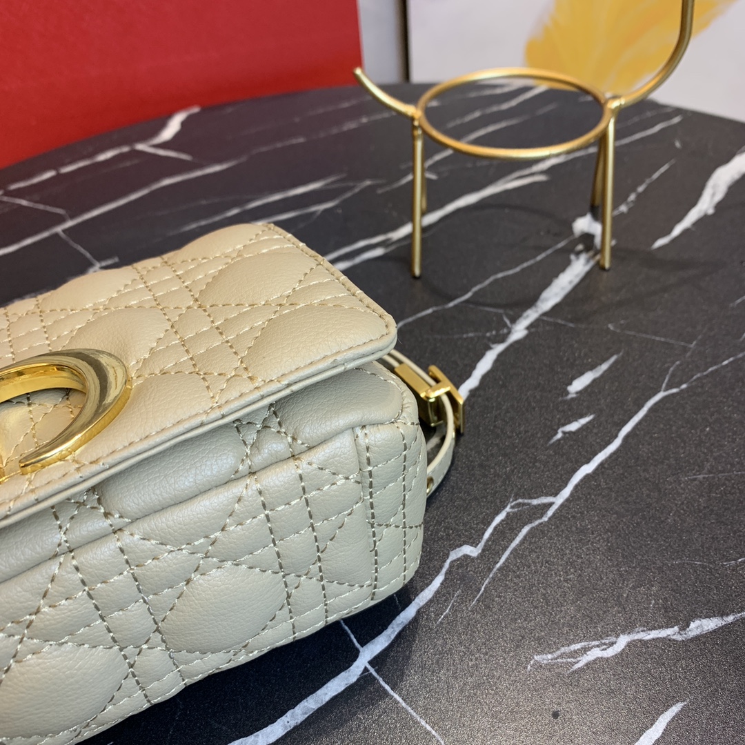 D*ior Bag Top Quality 20*12*7CM