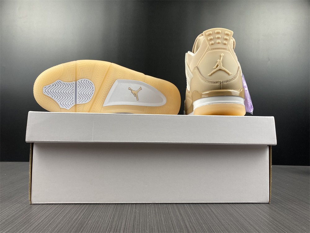 Air Jordan 4 WMNS “Shimmer” DJ0675-200