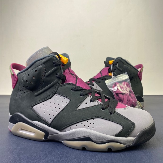 Air Jordan 6