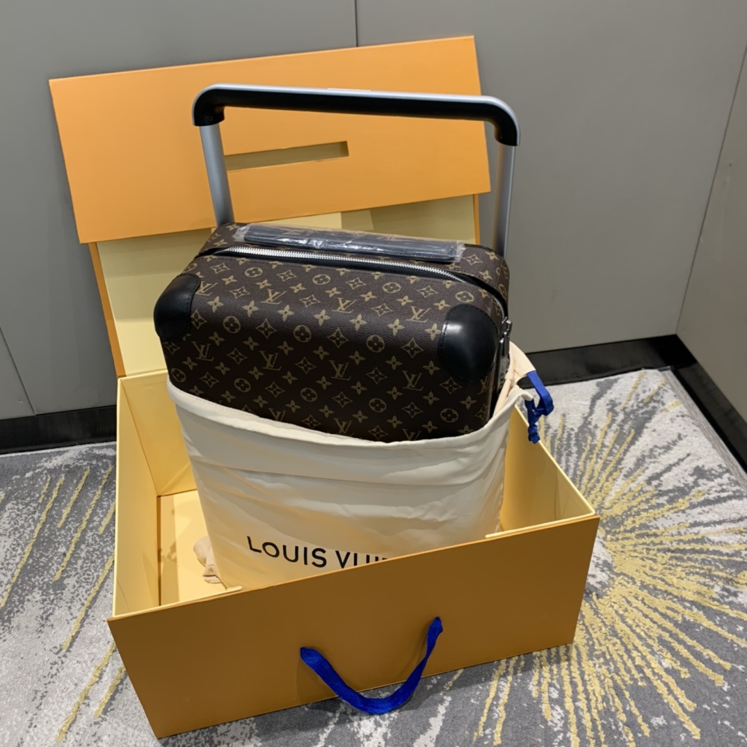 L*ouis V*uitton Luggage