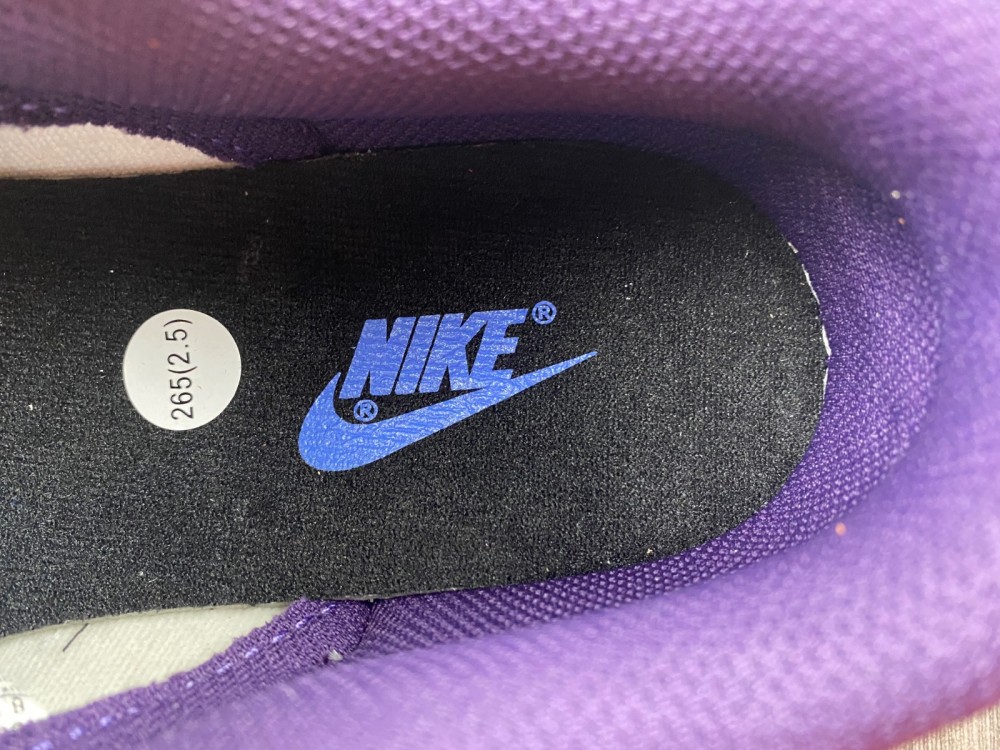 from SB Dunk Low Chenille Swoosh DQ7683-100