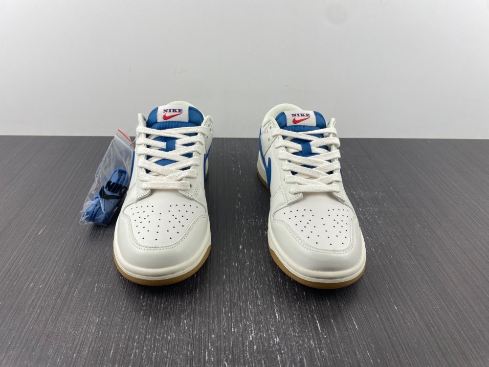 from Nike SB DUNK LOW DX3198-133