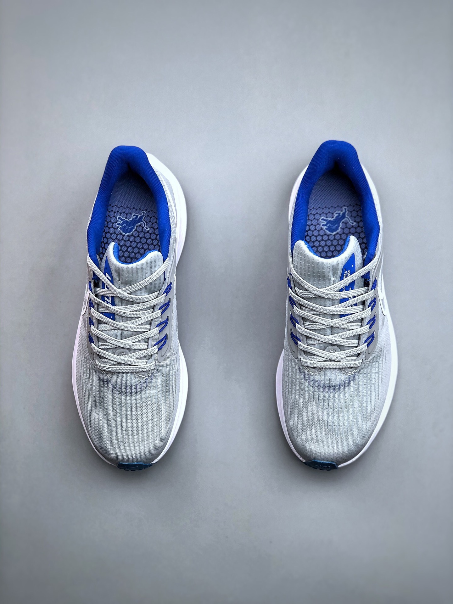 Men Nike zoom pegasus 39