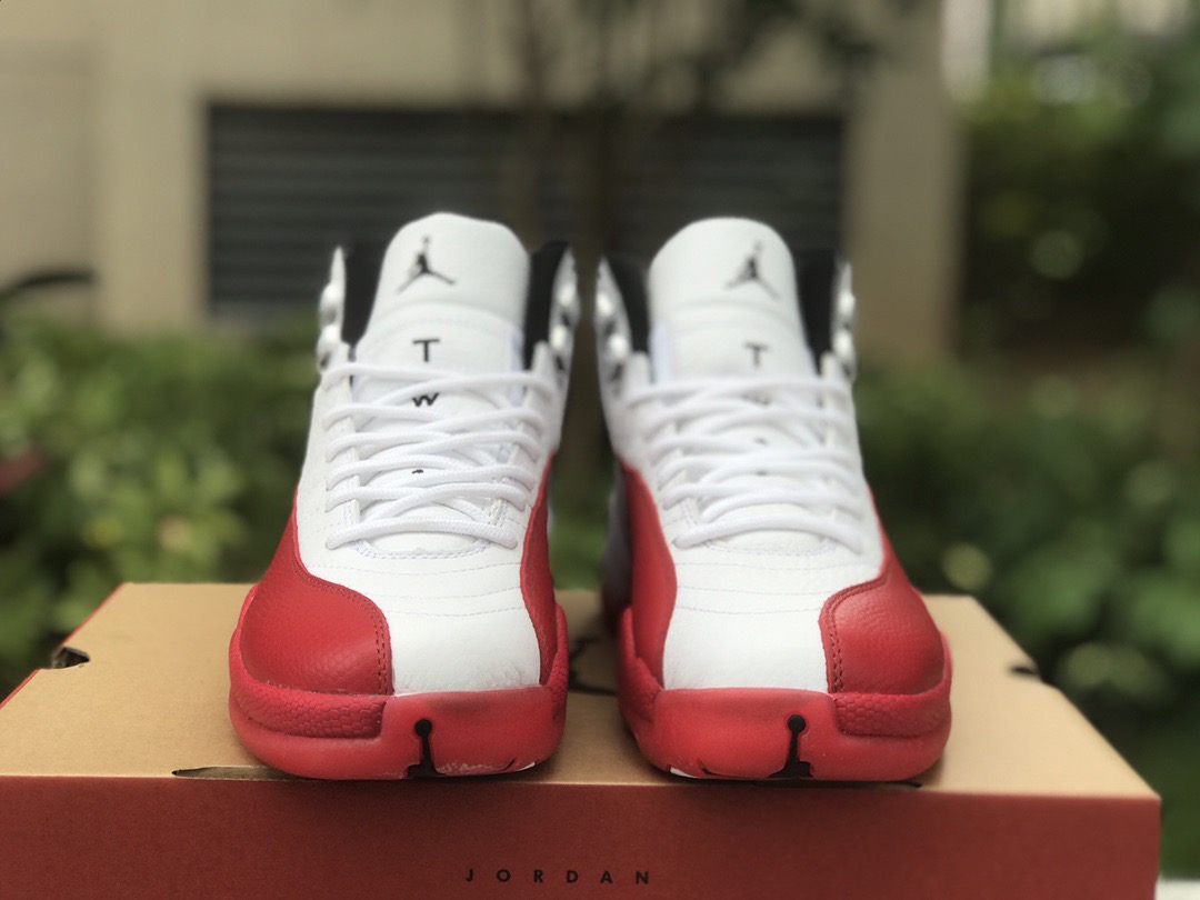 Air Jordan 12