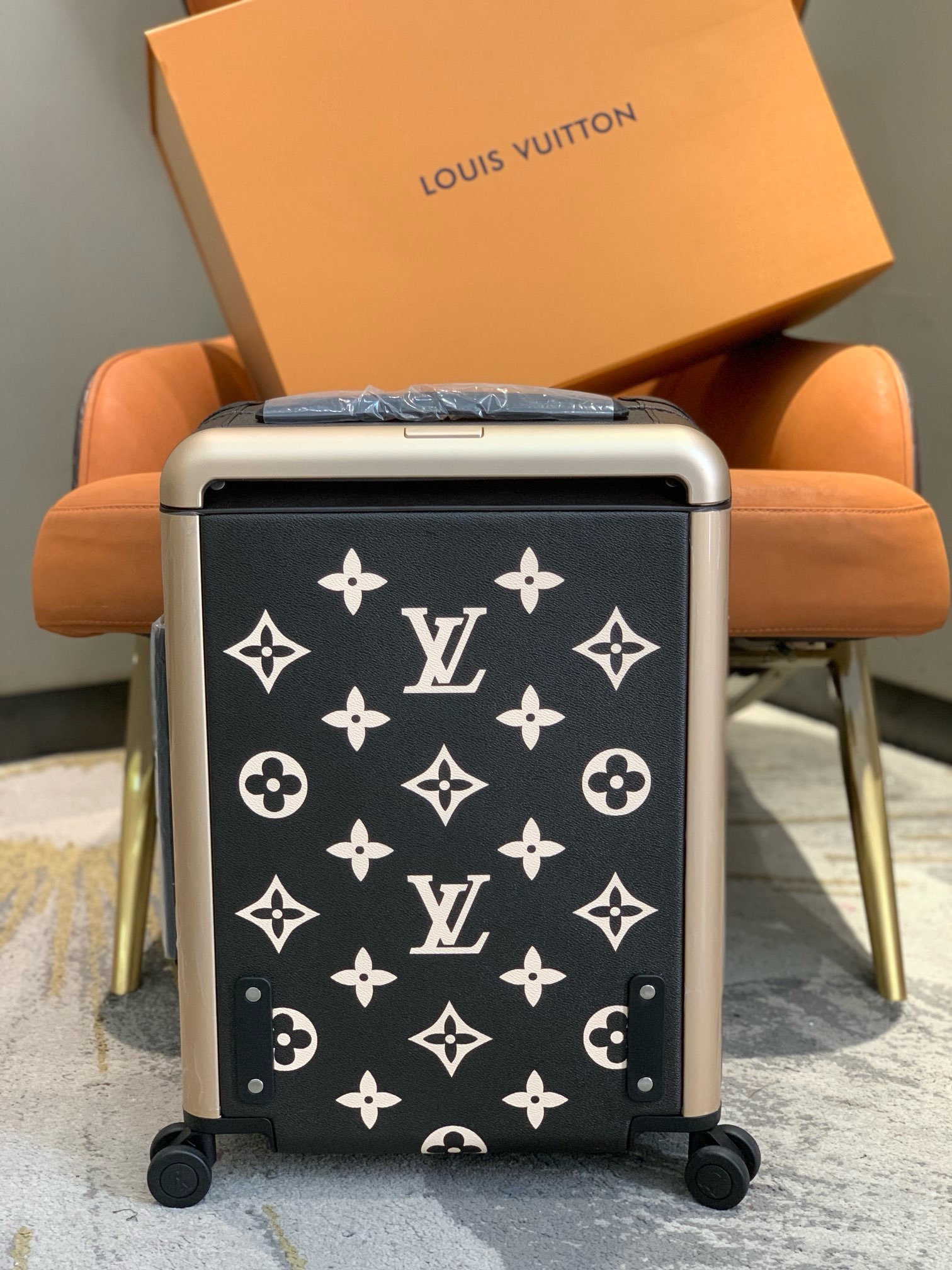 L*ouis V*uitton Luggage