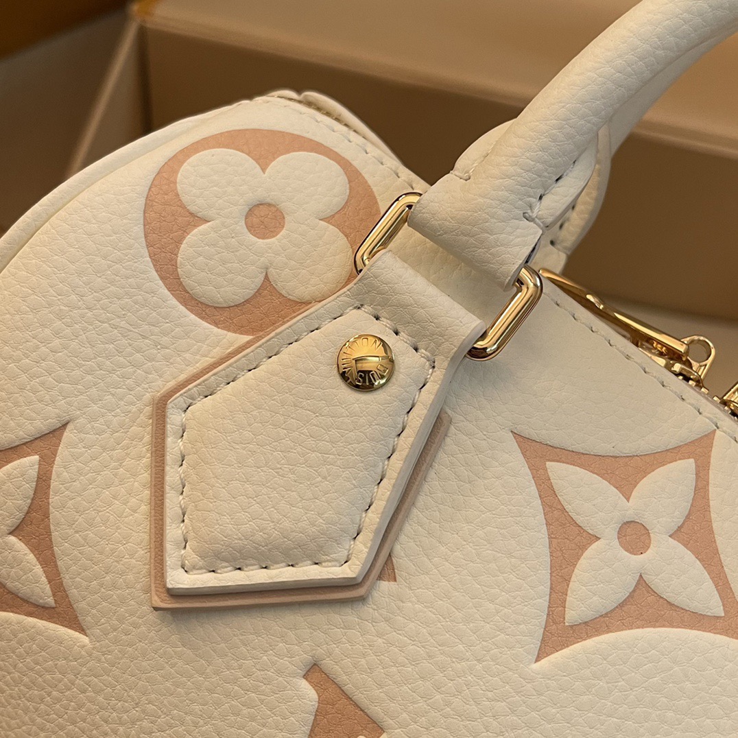 L*ouis V*uitton Top Bag