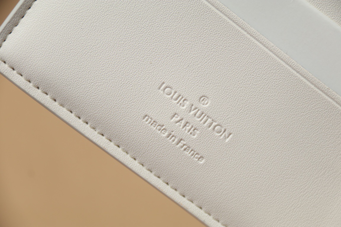 L*ouis V*uitton Top Bag